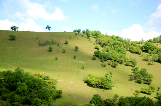 bifa·必发(中国区)唯一官方网站