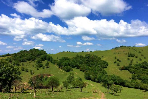 bifa·必发(中国区)唯一官方网站