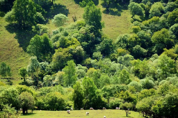 bifa·必发(中国区)唯一官方网站