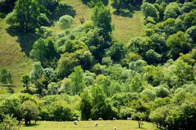 bifa·必发(中国区)唯一官方网站