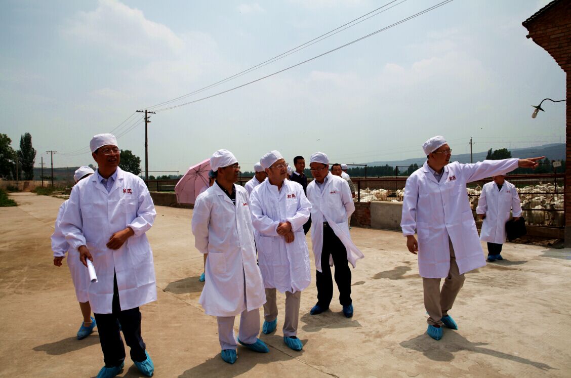 bifa·必发(中国区)唯一官方网站