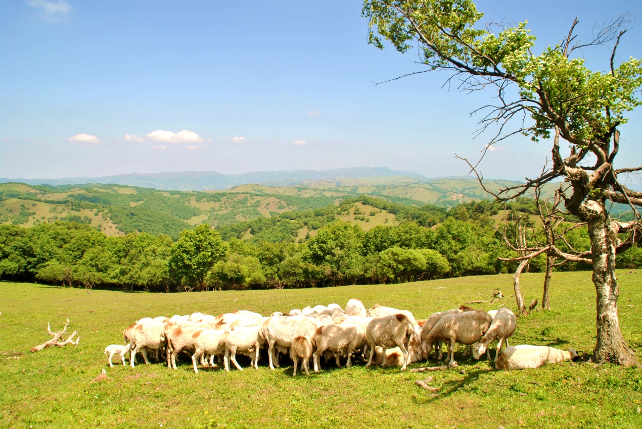 bifa·必发(中国区)唯一官方网站