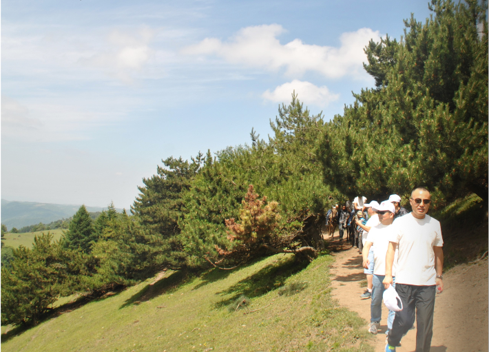 bifa·必发(中国区)唯一官方网站