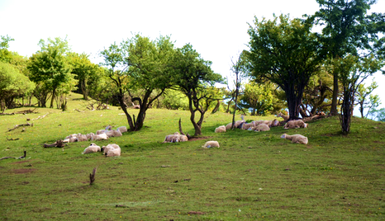 bifa·必发(中国区)唯一官方网站