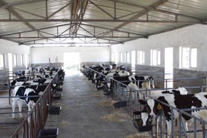 bifa���ط�(�й���)Ψһ�ٷ���վ