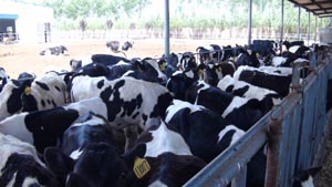 bifa���ط�(�й���)Ψһ�ٷ���վ