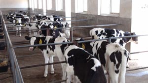 bifa���ط�(�й���)Ψһ�ٷ���վ